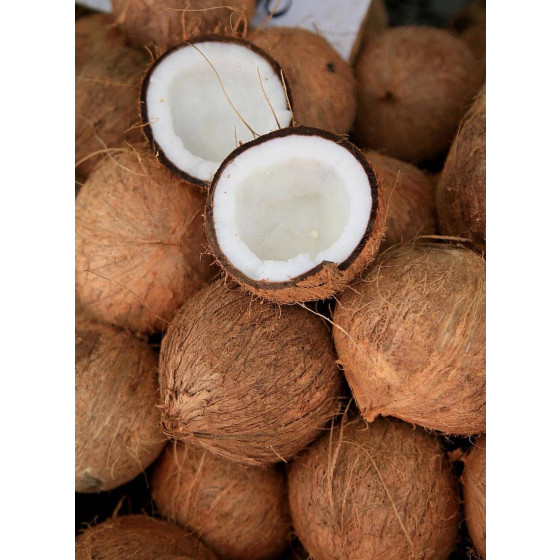 Dried Coconut